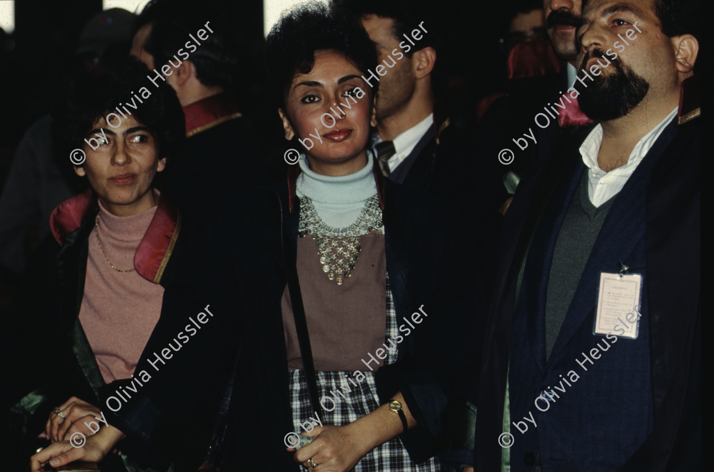 Image of sheet 19903006 photo 33: P