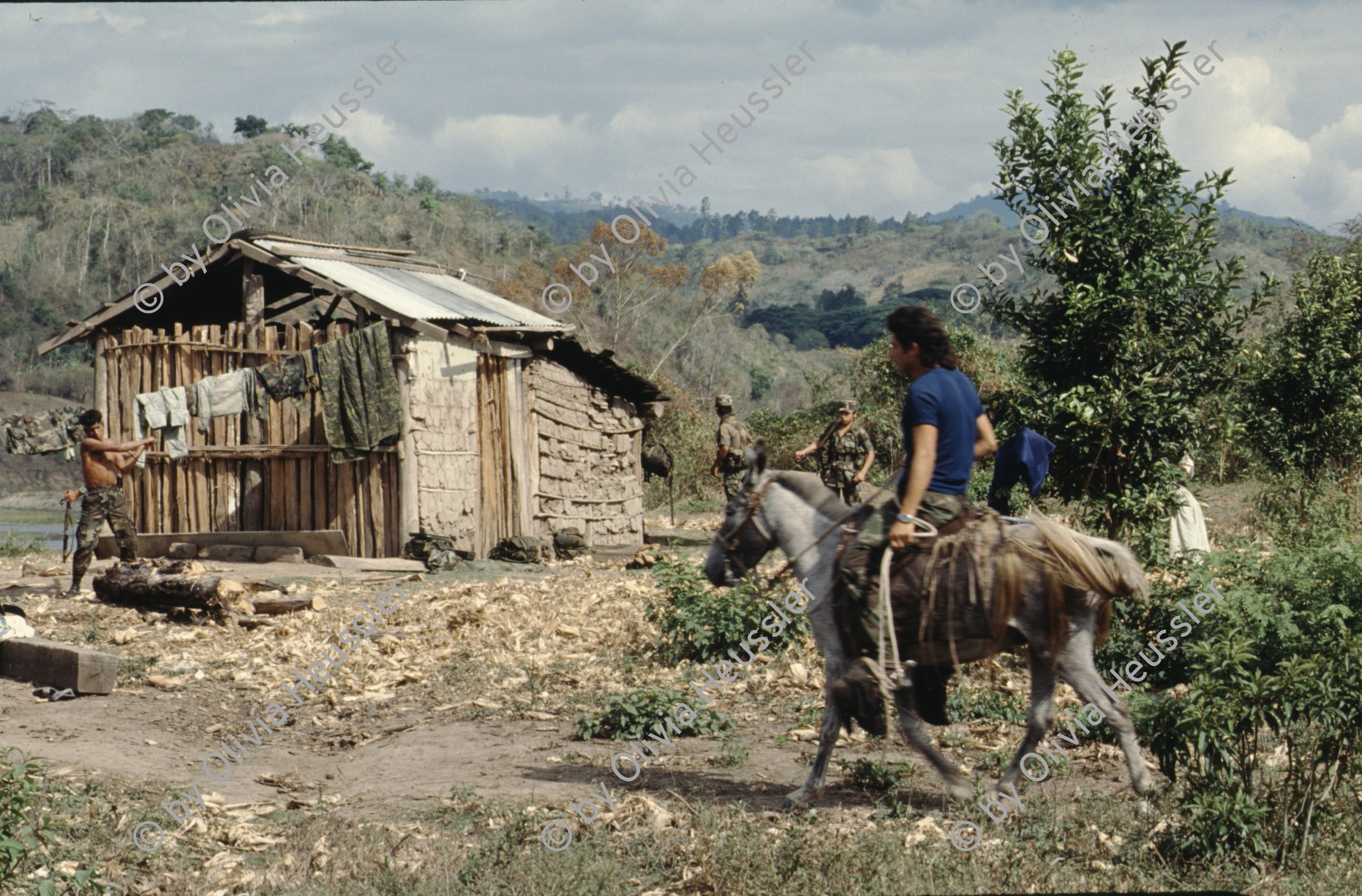 Image of sheet 19903025 photo 17: Nicaragua 1990.