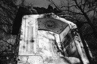 Image of sheet 19910010 photo 18: s