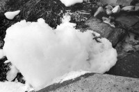 Image of sheet 19910010 photo 28: © 1991, Olivia Heussler / www.clic.li
Schaumbildung in Kläranlage abfluss in Maggia. Umweltverschmutzung Wasser verschmutzung Gordevio Tessin Ticino Canton Schweiz Switzerland Svizzera 1991 √ Water foam pollution environment river