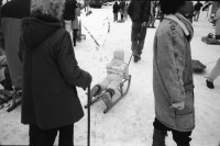 Image of sheet 19910060 photo 30: D