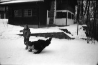 Image of sheet 19910060 photo 36: D