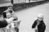 Image of sheet 19910110 photo 15: Irma Hirsl im Erismannhof, Zürich 1991.