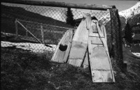 Image of sheet 19910110 photo 8: Se