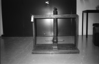 Image of sheet 19910150 photo 19: P