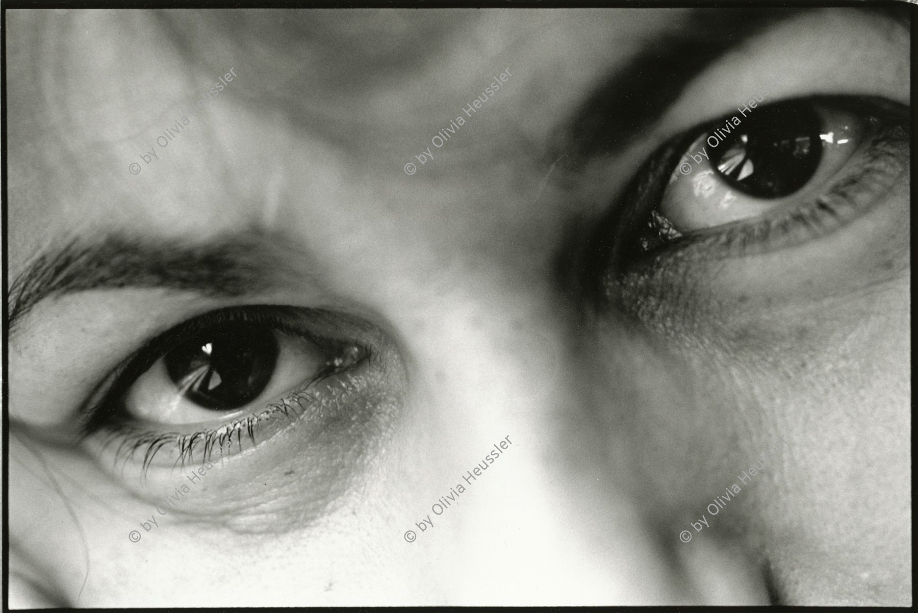 Image of sheet 19910230 photo 14: Portrait Augen von Olivia Heussler Swiss photographer Switzerland 1991
photographed by:
John Liebenberg Photographer Southafrican
Er lebt in Südafrika. Johannesburg. ist autor von Bushes of Ghost.