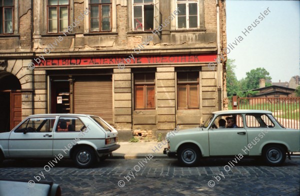 Image of sheet 19910400 photo 14: Auf der Elbe Schiffahrt Schloss Tochter Anne Weber. Erinnerungsplatte Max Frisch in dr HFBK Hochschule für bildende Künste. Strasse Nachts. Bei Holger Stark. Mappe Kunst DDR Portrait Gundula Schulze. Berlin. Alte Kamelie im Gerüst im Schloss Pillnitz vor dem neuen Schutzhaus
Die Pillnitzer Kamelie ist eine der ältesten in Europa befindlichen Kamelien (Camellia japonica). Mittlerweile über 230 Jahre alt, hat sie eine Höhe von etwa 8,90 tree baum Deutschland 1991 art