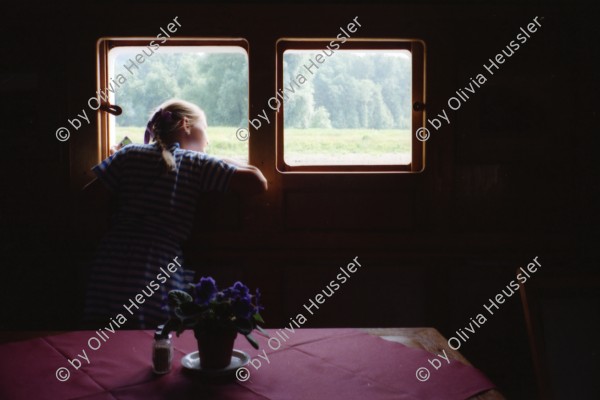 Image of sheet 19910400 photo 3: Auf der Elbe Schiffahrt Schloss Tochter Anne Weber. Erinnerungsplatte Max Frisch in dr HFBK Hochschule für bildende Künste. Strasse Nachts. Bei Holger Stark. Mappe Kunst DDR Portrait Gundula Schulze. Berlin. Alte Kamelie im Gerüst im Schloss Pillnitz vor dem neuen Schutzhaus
Die Pillnitzer Kamelie ist eine der ältesten in Europa befindlichen Kamelien (Camellia japonica). Mittlerweile über 230 Jahre alt, hat sie eine Höhe von etwa 8,90 tree baum Deutschland 1991 art