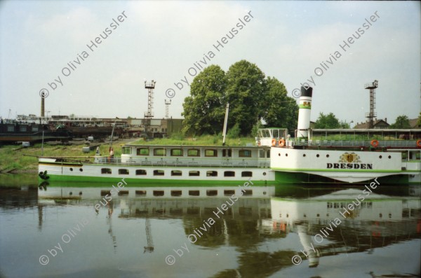 Image of sheet 19910400 photo 4: Auf der Elbe Schiffahrt Schloss Tochter Anne Weber. Erinnerungsplatte Max Frisch in dr HFBK Hochschule für bildende Künste. Strasse Nachts. Bei Holger Stark. Mappe Kunst DDR Portrait Gundula Schulze. Berlin. Alte Kamelie im Gerüst im Schloss Pillnitz vor dem neuen Schutzhaus
Die Pillnitzer Kamelie ist eine der ältesten in Europa befindlichen Kamelien (Camellia japonica). Mittlerweile über 230 Jahre alt, hat sie eine Höhe von etwa 8,90 tree baum Deutschland 1991 art