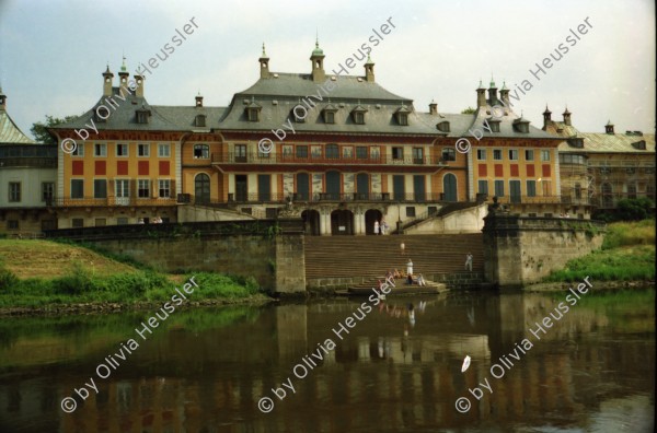 Image of sheet 19910400 photo 7: Auf der Elbe Schiffahrt Schloss Tochter Anne Weber. Erinnerungsplatte Max Frisch in dr HFBK Hochschule für bildende Künste. Strasse Nachts. Bei Holger Stark. Mappe Kunst DDR Portrait Gundula Schulze. Berlin. Alte Kamelie im Gerüst im Schloss Pillnitz vor dem neuen Schutzhaus
Die Pillnitzer Kamelie ist eine der ältesten in Europa befindlichen Kamelien (Camellia japonica). Mittlerweile über 230 Jahre alt, hat sie eine Höhe von etwa 8,90 tree baum Deutschland 1991 art