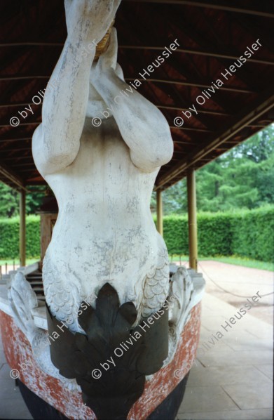 Image of sheet 19910400 photo 9: Auf der Elbe Schiffahrt Schloss Tochter Anne Weber. Erinnerungsplatte Max Frisch in dr HFBK Hochschule für bildende Künste. Strasse Nachts. Bei Holger Stark. Mappe Kunst DDR Portrait Gundula Schulze. Berlin. Alte Kamelie im Gerüst im Schloss Pillnitz vor dem neuen Schutzhaus
Die Pillnitzer Kamelie ist eine der ältesten in Europa befindlichen Kamelien (Camellia japonica). Mittlerweile über 230 Jahre alt, hat sie eine Höhe von etwa 8,90 tree baum Deutschland 1991 art