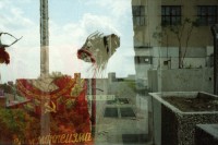 Image of sheet 19910410 photo 12: Doppelbelichtungen fälschlicherweise. Alte Trabant en auf Schrottplatz. Insekten Strassenwischer. Gebäude Mc Donalds Plakat Künstlerheim Bethanien DDR Kunst von Bob ? Gundula Schulze nackt filmt mich im Bett. Reichsluftfahrt Ministerium Kantine und Eingang. In Buchbinderei. Trabant mit Berlin kleber. Deutschland 1991 Art Artist photographer Photography car GDR east germany