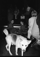 Image of sheet 19910420 photo 24: Abdankungsfest im Volkshaus für Theo Pinkus. Kanzlei Turnhalle Lydia Woog, eine unbequeme Frau. Schweizer Aktivistin und Kommunistin
und Ruth Guggenheim Heussler singen auf der Bühne, Vorwärts und nicht vergessen....
Robert Jungk Esther Burkhardt ...