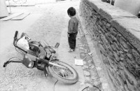 Image of sheet 19910440 photo 12: s