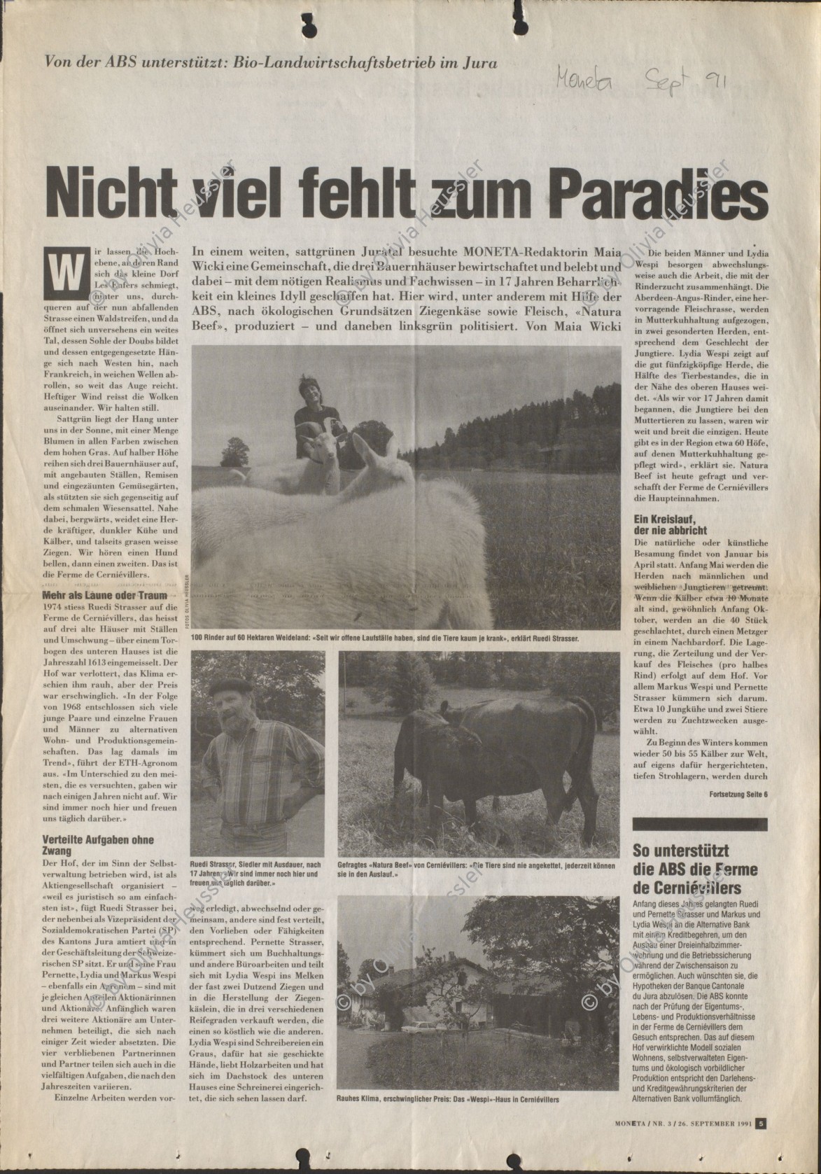 Image of sheet 19910460 photo 16: Bio Bauernhof Cerniévillers Lydia Wespi mit den Ziegen auf dem Hof und im Garten Muttertierhaltung Kanton Jura √
Mrs. Wespi is caressing her he goat who has got the luck to live in a nature related area. Together with the goats of the herd he goat Seppli ca spend most of his live outdoor and is a so called happy goat. The cheese of Happy goats has become a desired product in Swiss households as people are growing more critical to chemical supplements in food. 1991
Bio farming farmer Swiss Europe agriculture alternative 1991 Cerniévillers vacation center hotel tourism animal Jura Kanton Swiss Switzerland Suisse Wespi family biological farm