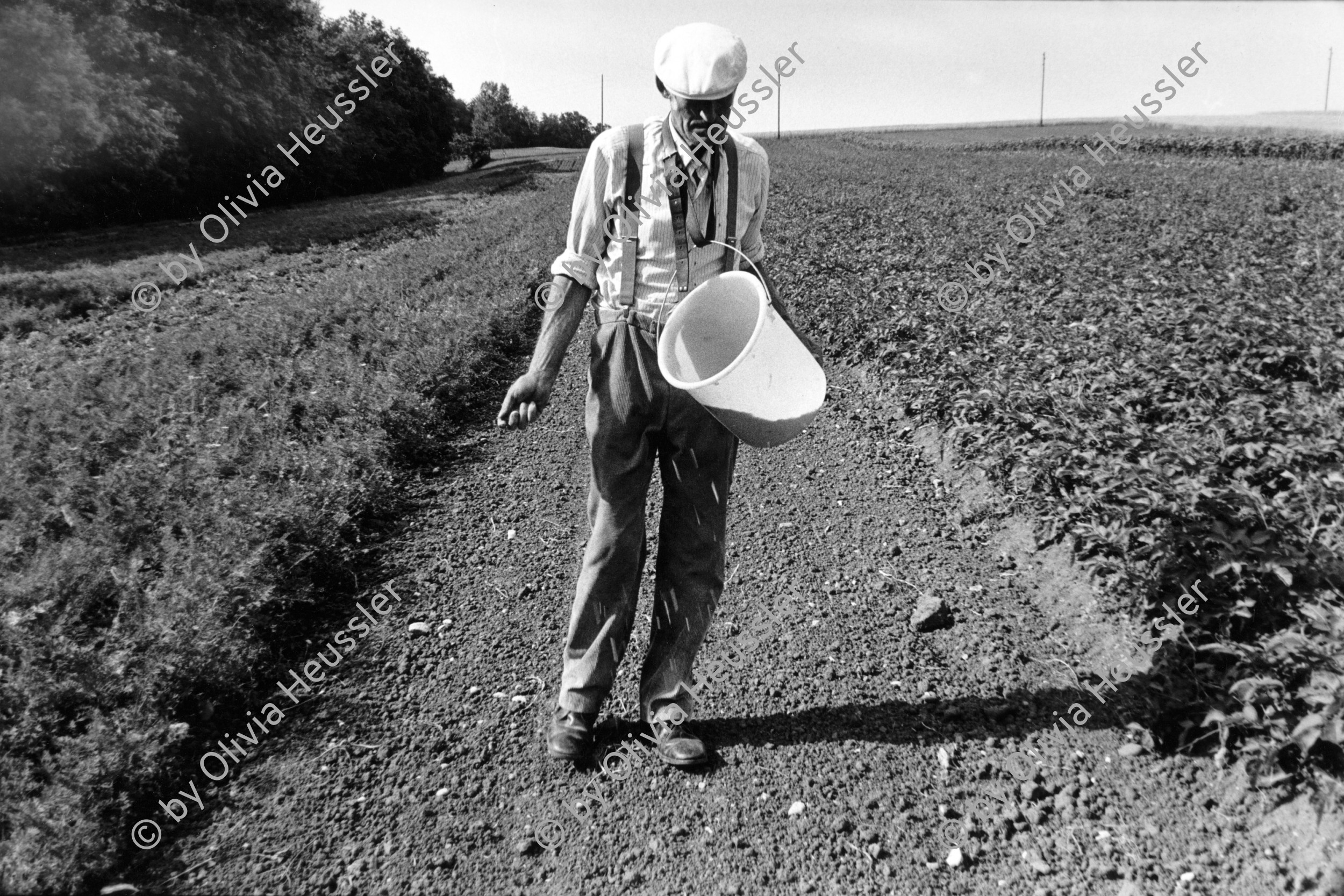 Image of sheet 19910520 photo 33: Bauer beim sähen auf Biobauernhof in Wittinsburg, Basel Land, Schweiz 1991.
 
Familie Miesch beim Sähen
Bio farming farmer Swiss Europe agriculture alternative 1991 Swiss Switzerland Suisse  family biological farm √