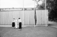Image of sheet 19910540 photo 24: f