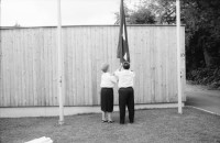 Image of sheet 19910540 photo 25: f
