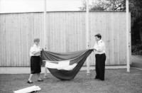 Image of sheet 19910540 photo 26: f