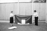 Image of sheet 19910540 photo 27: f