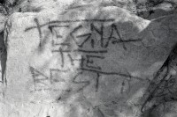 Image of sheet 19910570 photo 27: F