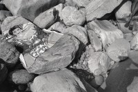 Image of sheet 19910570 photo 31: Switzerland bath river sun suning bronze skin bathing dress bikini zweiteiler stone rock image towel woman rocks