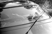 Image of sheet 19910570 photo 36: A stuffed alligator behind the car rear windscreen
europe Ticino Schweiz Switzerland Svizzera animal crocodile