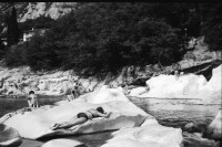 Image of sheet 19910570 photo 6: F