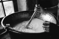 Image of sheet 19910590 photo 12: Jürg Bernhard beim Käsen auf der Alp Grava. Käseherstellung im Chessi Kessel über dem Feuer 1991 alp farming bio Switzerland alps mountain farm cheese Europe Schweiz Svizzera fyer place swiss traditional farming biological
