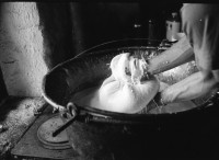 Image of sheet 19910590 photo 36: Jürg Bernhard alp farming bio Switzerland alps mountain farm cheese Europe Schweiz Svizzera fyer place swiss traditional farming biological
