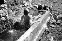 Image of sheet 19910600 photo 30: Ein kühlendes Bad im Brunnen auf der Alp. Graubünden. Schweiz 08.91
1991 alp farming bio Switzerland alps mountain farm cheese Europe Schweiz Svizzera fyer place swiss traditional farming biological √ bath cold fresh water fountain bathing