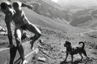 Image of sheet 19910600 photo 31: © 1991, Olivia Heussler / www.clic.li
Ein kühlendes Bad im Brunnen auf der Alp. Graubünden. Schweiz 08.91

Swiss Alps, Canton of Grison, alp farming bio Switzerland alps mountain farm cheese Europe Schweiz Svizzera fyer place swiss traditional farming biological nacked man dog animal fresh water fountain