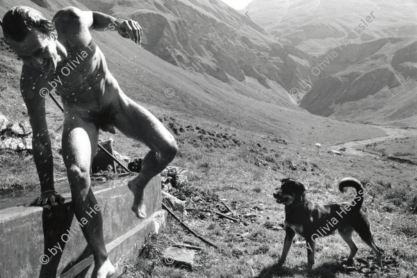 Image of sheet 19910600 photo 31: © 1991, Olivia Heussler / www.clic.li
Ein kühlendes Bad im Brunnen auf der Alp. Graubünden. Schweiz 08.91

Swiss Alps, Canton of Grison, alp farming bio Switzerland alps mountain farm cheese Europe Schweiz Svizzera fyer place swiss traditional farming biological nacked man dog animal fresh water fountain