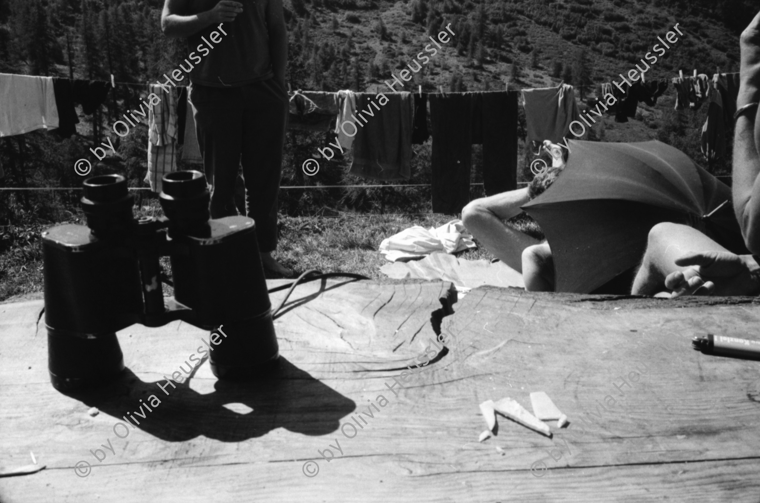 Image of sheet 19910600 photo 33: Alp Grava Surselva Graubünden. swiss alps schweiz Switzerland milk cheese production