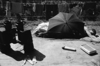 Image of sheet 19910600 photo 36: s