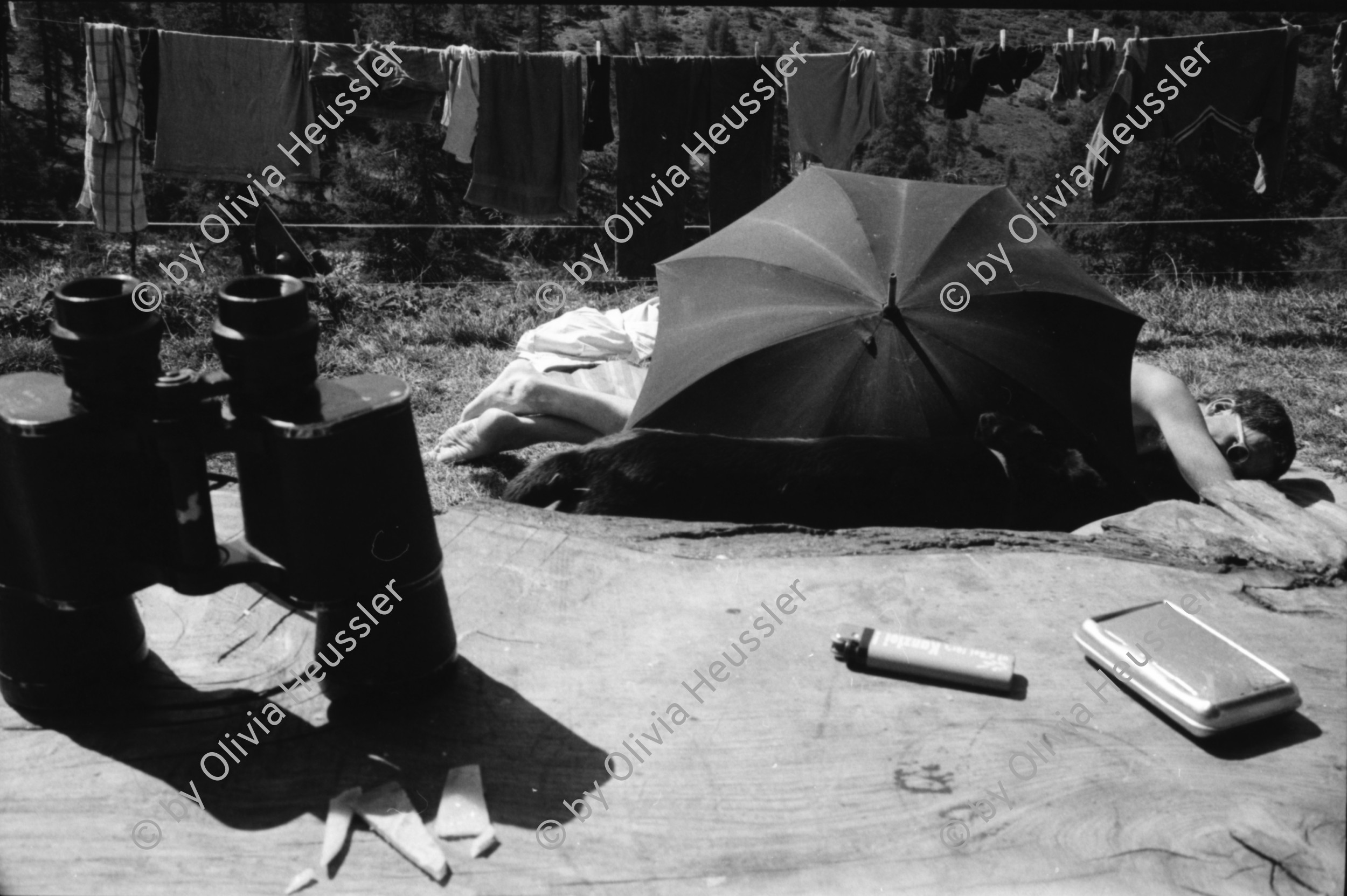 Image of sheet 19910600 photo 36: s