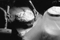 Image of sheet 19910600 photo 9: frtsg. 910610 Jürg Bernhard beim Käsen. Alp Grava Surselva Graubünden. swiss alps schweiz Switzerland milk cheese production