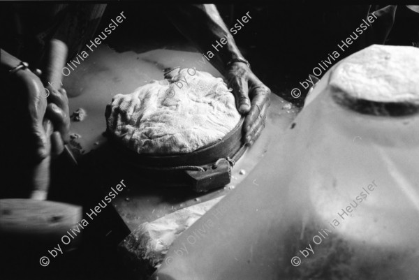 Image of sheet 19910600 photo 9: frtsg. 910610 Jürg Bernhard beim Käsen. Alp Grava Surselva Graubünden. swiss alps schweiz Switzerland milk cheese production