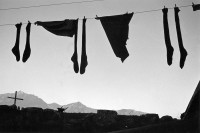 Image of sheet 19910610 photo 29: alp farming bio Switzerland alps mountain farm Europe Schweiz Svizzera place swiss traditional farming kleider wäsche leine clothes clothesline
Shadows and other Natures
Geschenk an Fatima Heussler in Heussler Rahmen 30 x 40