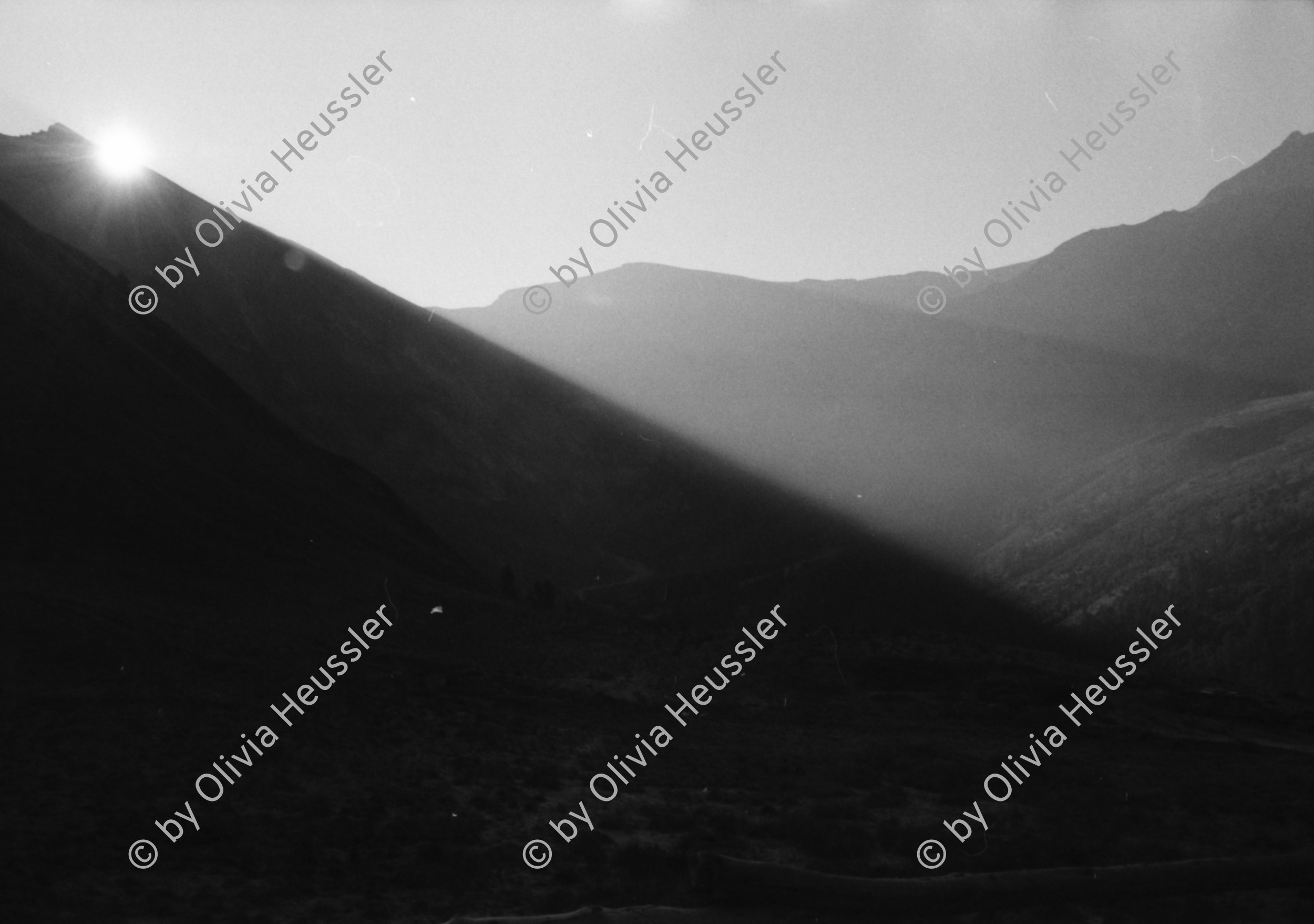 Image of sheet 19910620 photo 1: Auf der Alp Rischuna und Alp Grava im Valsertal Surselva bei Martin Bienerth Flo (Käserei Lateria Andeer) und Ute und Urs und Gina, wird 'käset'. Flo und Gina beim Melken und Kuh pflegen. Die Kühe verlassen den Stalls in der Morgensonne. Kuhschnauze. Milckkessi. Die Schweine springen aus dem Stall an die Sonne. und an die Tränke. Die Wäsche hängt an der Sonne. Mit der Schöpfkelle im Käsekessi. Käsen Käsern Käseherstellung 
 	Nach der kalten Nacht suhlen sich die Schweine im Freien und fressen die 'Käseschotte'. Graubünden 08.91
After cold night, the pigs wallow in the open and eat the scot
 alp farming bio Switzerland alps mountain farm cheese Europe Schweiz Svizzera fyer place swiss traditional farming biological pigs animal feeding food scot