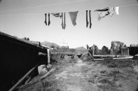 Image of sheet 19910620 photo 15: alp farming bio Switzerland alps mountain farm cheese