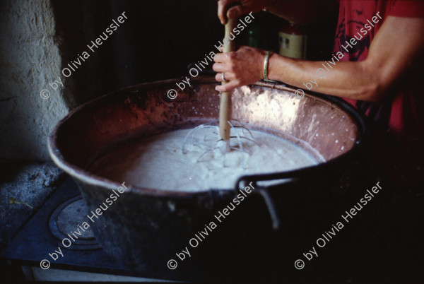 Image of sheet 19910630 photo 30: Hirt  Alp 1991 Schweiz Switzerland Swiss Alps