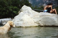 Image of sheet 19910640 photo 22: R