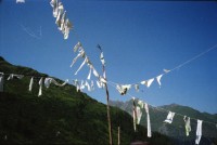 Image of sheet 19910640 photo 6: R