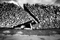 Image of sheet 19910700 photo 1: © 1991, Olivia Heussler / www.clic.li
Während den Unwetttern von 1990 sind einige tausend Tonnen Holz gefallen. Hier wurde es neben der Passstrasse aufgeschichtet. Lukmanier Pass Canton Graubünden Kanton Grisons 1991 √
wood 
Stocked wood after storm. Kanton grisons 1991 wood forest hurricane