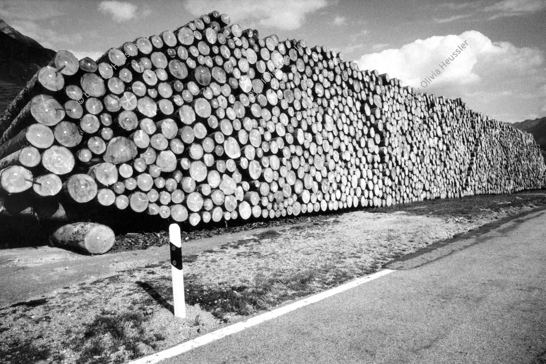 Image of sheet 19910700 photo 2: © 1991, Olivia Heussler / www.clic.li
Nach einem Unwetter gab es grosse Mengen Holz. Lukmanier Pass Graubünden. 08.91
Stocked wood after storm. Canton grisons 1991 wood forest hurricane √ Switzerland Schweiz 
ohne Aufkleber