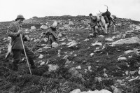 Image of sheet 19910730 photo 23: Hirschjagd in Schottland. 1991
Deer hunting in Scotland Schottland Kingussie 1991 Grossbritannien √