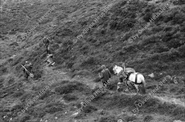 Image of sheet 19910730 photo 32: frtsg. 910720 Vital und Andy geniessen nach dem Schuss ein Schuss
 Whisky, Drei Gehstöcke mit Horn griffe stecken in der Erde.
 Portrait. Andy und Vital. Der Ponyboy marschiert mit dem
 beladenen Pony weg. Ein Hirsch wird auf dem Pony transportiert und der andere hinunter gezogen. Portrait Vital.
Deer hunting in Scotland Great britain Grossbritannien