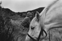Image of sheet 19910740 photo 16: © 1991, Olivia Heussler / www.clic.li
Während der Hirschjagd in Gaick Lodge Kingussie Schottland 1991
A hunter and his horse waiting for a stag.
Deer hunting in Scotland 1991
Great britain, Grossbritannien  √