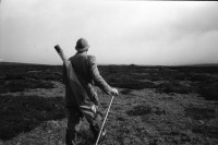 Image of sheet 19910740 photo 26: frtsg. 910730 Der Jäger Andy Smith unter einem dreier Geweih !Vital mit Georg Christie. Andy wartet mit dem Pony. Andy mit dem Fernrohr. Portrait. Pony.
Deer hunting in Scotland